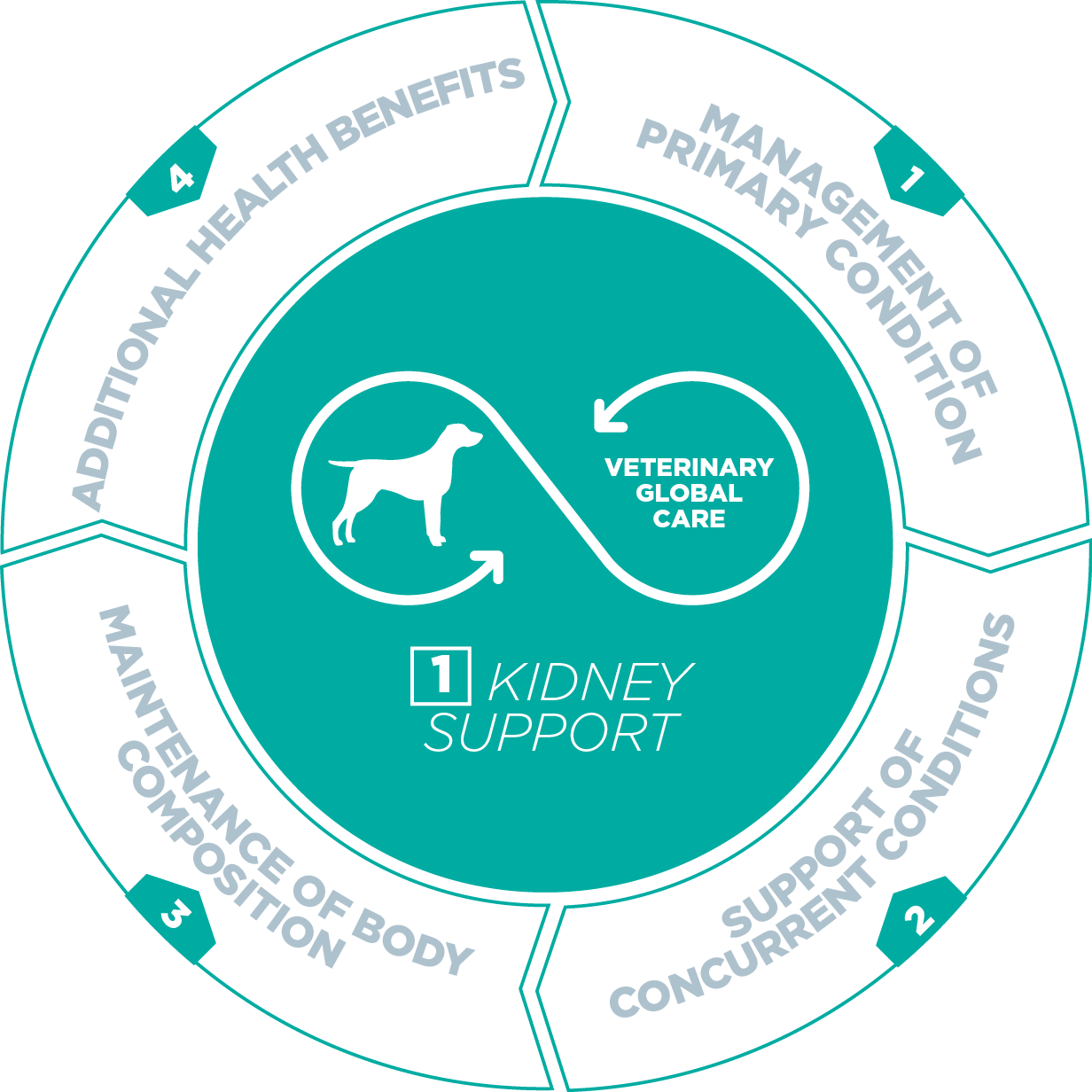 VETERINARY HPM® Kidney Support